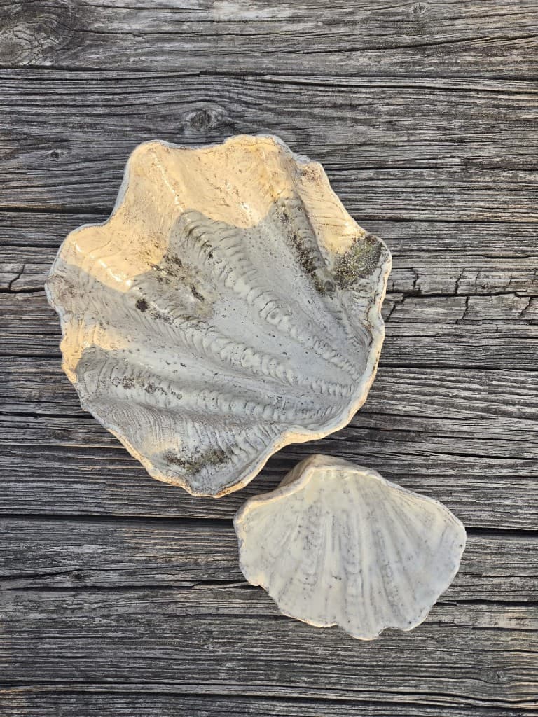 Two hand-sculpted shell ceramics, each with its own character