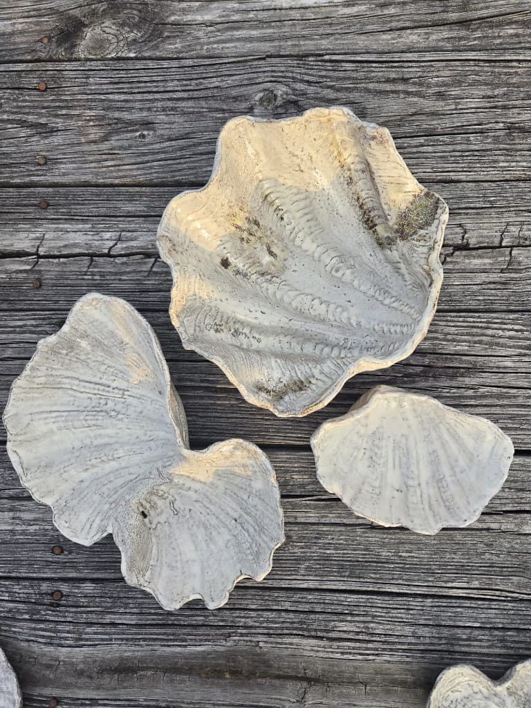 Shell-formed ceramics arranged on weathered wood