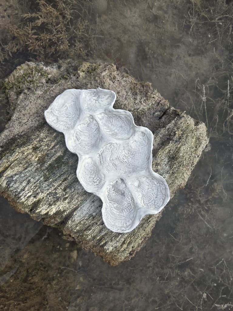 Oyster Plate · 8 Shell — PEPPERMANGO ceramic