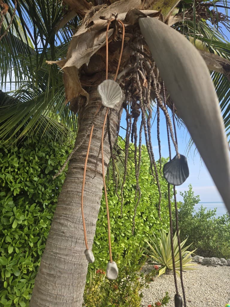 Tide & Clay Bolo — PEPPERMANGO